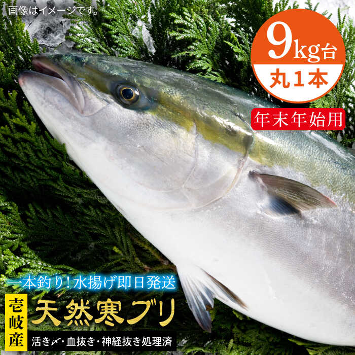 【ふるさと納税】【11/1～1/15お届け 年末年始用】天然 寒ブリ（9キロ台・丸もの） 《壱岐市》【壱岐島..