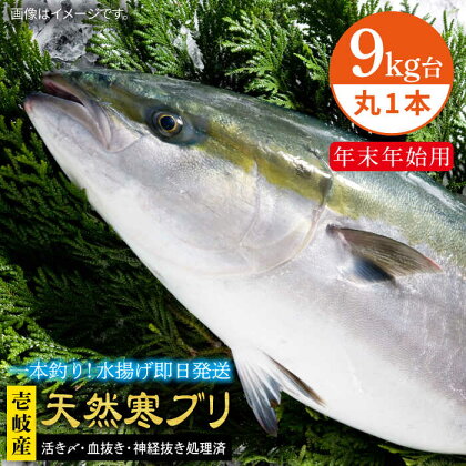 【11/1～1/15お届け 年末年始用】天然 寒ブリ（9キロ台・丸もの） 《壱岐市》【壱岐島　玄海屋】[JBS033] ぶり 寒ぶり ブリ 魚 刺身 しゃぶしゃぶ 240000 240000円 24万 のし プレゼント ギフト 冷蔵配送