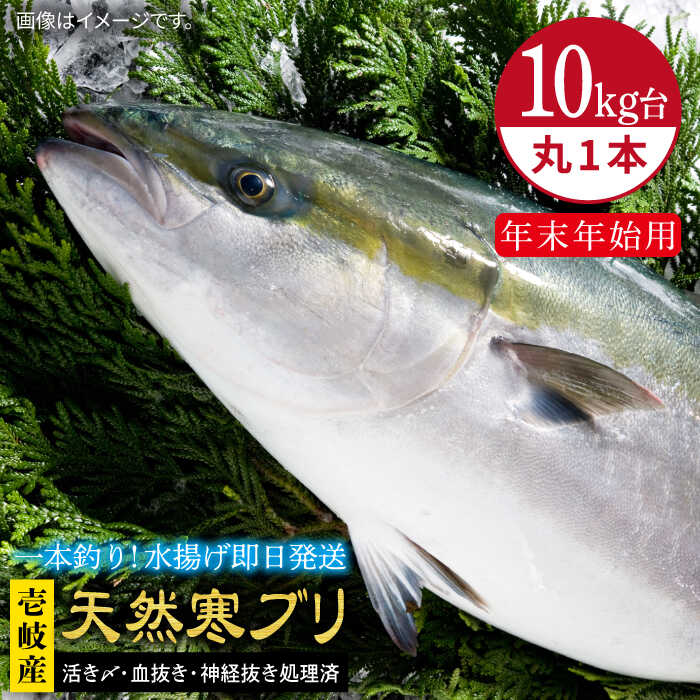 #/海産物/ブリ/単品/釣れたての鮮度を、 そのままお届け 魚は鮮度が命。適切な処理、及び冷蔵発送こそが美味しさの秘訣だと私たちは考えます。 私たちのこだわり お刺身や料理にも 即日発送！！！ 一本釣りで活き〆、神経抜き、血抜き処理された鮮度抜群の天然寒ブリを水揚げ即日配送！ ※必ずお読みください ご不在などで受取りが出来ず、商品が返送になった場合の再送は出来かねますので、予めご了承ください。 商品説明 名称【年末年始用】壱岐島産天然寒ブリ（10キロ台・丸もの） 内容量◆玄界灘の寒ぶり 丸1本のまま 配送方法冷蔵 ※氷詰めで配送。 配送期日11/1〜1/15配達 ※必ず希望日を備考欄にご記入ください。 お届け先によっては、配達希望日時の2日前に発送する場合がございます。 あらかじめご了承ください。【お届け不可：1月2日〜1月6日着指定不可（1月7日以降お届け可能）】 消費期限発送日より冷蔵にて5日 提供事業者壱岐島 玄海屋 0920-44-5310 ※お読みください 離島のため、天候や船の運行状況により、お届け日が前後する場合がございます。※年末年始の物流量増加に伴い、日付指定通りのお届けが叶わない恐れがございます。 ご了承の上、お申込みいただきますようお願い申し上げます。 #/海産物/鮮魚/ブリ/ その他壱岐島天然寒ブリはこちら 【年末年始用】壱岐島産天然寒ブリ（10キロ台・3枚おろし） 《壱岐市》【壱岐島　玄海屋】 ぶり/寒ぶり/ブリ/魚/刺身/しゃぶしゃぶ ※年末の申込について※ 12月は注文が集中するため、記載の配送期日通りのお届けができない場合がございます。 予めご了承ください。