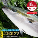 【ふるさと納税】【11/1～1/15お届け 年末年始用】天然 寒ブリ（10キロ台・丸もの） 《壱岐市》【壱岐島　玄海屋】[JBS034] ぶり 寒ぶ..