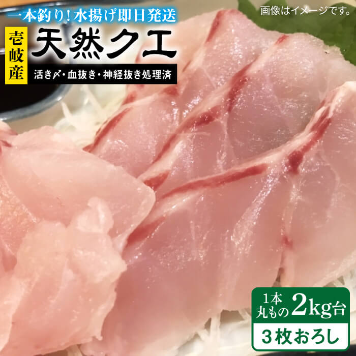 天然クエ(2キロ台・3枚おろし) [壱岐市][壱岐島 玄海屋][JBS051] クエ 魚 刺身 しゃぶしゃぶ 160000 160000円 16万円 のし プレゼント ギフト 冷蔵配送