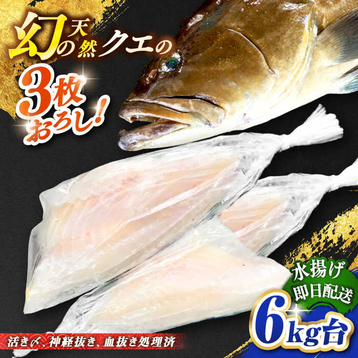 #/海産物/クエ/釣れたての鮮度を、 そのままお届け 魚は鮮度が命。適切な処理、及び冷蔵発送こそが美味しさの秘訣だと私たちは考えます。 私たちのこだわり 一本釣りで活き〆、神経抜き、血抜き処理された鮮度抜群の天然クエを水揚げ即日発送！ お刺身や鍋にも 即日発送！！！ 注意事項 ※必ずお読みください ご不在などで受取りが出来ず、商品が返送になった場合の再送は出来かねますので、予めご了承ください。 商品説明 名称天然クエ（6キロ台・3枚おろし） 内容量◆玄界灘壱岐島産の天然クエ 丸ものを3枚おろし ※頭、カマ、骨も丸1匹分（頭、骨は煮物用にカット処理） 配送方法冷蔵 配送期日9/1〜2月末配達 ※必ず希望日を備考欄にご記入ください。 お届け先によっては、配達希望日時の2日前に発送する場合がございます。 あらかじめご了承ください。 消費期限発送日より冷蔵にて5日 提供事業者壱岐島 玄海屋 0920-44-5310 ※お読みください 離島のため、天候や船の運行状況により、お届け日が前後する場合がございます。※年末年始の物流量増加に伴い、日付指定通りのお届けが叶わない恐れがございます。 ご了承の上、お申込みいただきますようお願い申し上げます。 #/海産物/鮮魚/クエ/ その他壱岐島天然クエはこちら 天然クエ（6キロ台・丸もの） 《壱岐市》【壱岐島　玄海屋】 クエ/魚/刺身/しゃぶしゃぶ ※年末の申込について※ 12月は注文が集中するため、記載の配送期日通りのお届けができない場合がございます。 予めご了承ください。