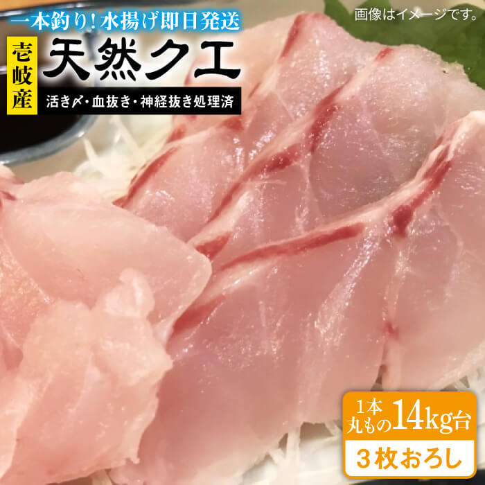 天然クエ（14キロ台・3枚おろし） 《壱岐市》【壱岐島　玄海屋】[JBS067] クエ 魚 刺身 しゃぶしゃぶ 1030000 1030000円 103万円 のし プレゼント ギフト 冷蔵配送