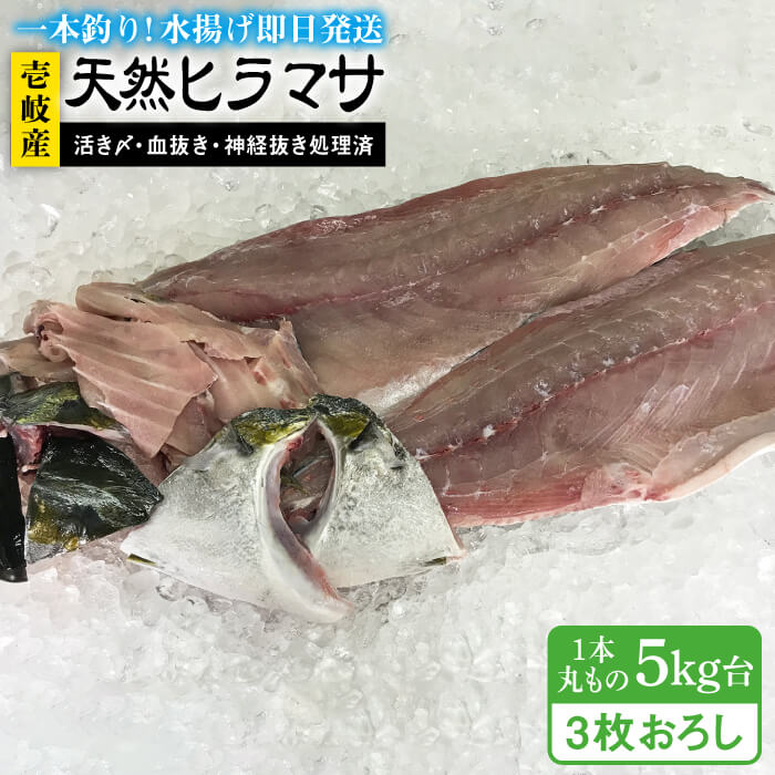 55位! 口コミ数「0件」評価「0」壱岐島産天然ヒラマサ（5キロ台・三枚おろし） 《壱岐市》【壱岐島　玄海屋】[JBS078] ヒラマサ 魚 刺身 煮物 カルパッチョ お寿司 ･･･ 