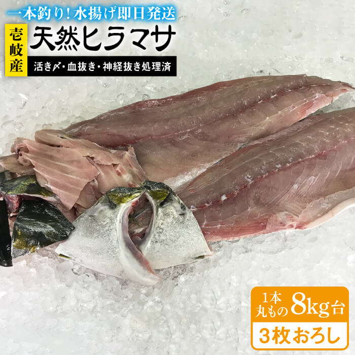 #/海産物/刺身/単品/釣れたての鮮度を、 そのままお届け 魚は鮮度が命。適切な処理、及び冷蔵発送こそが美味しさの秘訣だと私たちは考えます。 私たちのこだわり 一本釣りで活き〆、神経抜き、血抜き処理された鮮度抜群の天然クエを水揚げ即日発送！ お刺身がおすすめ ヒラマサは透き通った美しい身とさっぱりした味が特徴です。市場に出まわることが少ないヒラマサは、同じ仲間のブリよりも高級だと言われております。お刺身はもちろん、焼いても煮てもおいしくいただけます。 即日発送！！！ 注意事項 ※必ずお読みください 【※必読】 ご希望の目安日時を必ず備考欄に、ご入力ください。※注文から14日以降の日付をご指定ください。 ただし、シケなど天候の様子で発送日がご希望通りにいかない場合があります。天然魚のため、商品の到着が遅れる場合がございますので、予めご了承ください。【お届け不可：1月2日〜1月6日着指定不可（1月7日以降お届け可能）】 希望日前後でお受け取りできない日時がございましたら、あわせてご記入をお願いします。 お届け先によっては、配達希望日時の2日前に発送する場合がございます。 あらかじめご了承ください。 商品説明 名称壱岐島産天然ヒラマサ（8キロ台・三枚おろし） 内容量玄界灘の天然ヒラマサ8キロ台 三枚おろし 消費期限 発送日より冷蔵にて5日 ※お早めにお召し上がりください。 配送方法冷蔵 配送期日※ご指定の日時を目安として手配いたしますが、時化などの悪天候により、商品の到着が遅れる場合がございますので、予めご了承ください。【お届け不可：1月2日〜1月6日着指定不可（1月7日以降お届け可能）】 提供事業者壱岐島　玄海屋 ※お読みください 離島のため、天候や船の運行状況により、お届け日が前後する場合がございます。※年末年始の物流量増加に伴い、日付指定通りのお届けが叶わない恐れがございます。 ご了承の上、お申込みいただきますようお願い申し上げます。 #/海産物/鮮魚/ヒラマサ/ その他壱岐島天然ヒラマサはこちら 壱岐島産天然ヒラマサ（8キロ台・丸もの） 《壱岐市》【壱岐島　玄海屋】 ヒラマサ/魚/刺身/煮物/カルパッチョ/お寿司 ※年末の申込について※ 12月は注文が集中するため、記載の配送期日通りのお届けができない場合がございます。 予めご了承ください。