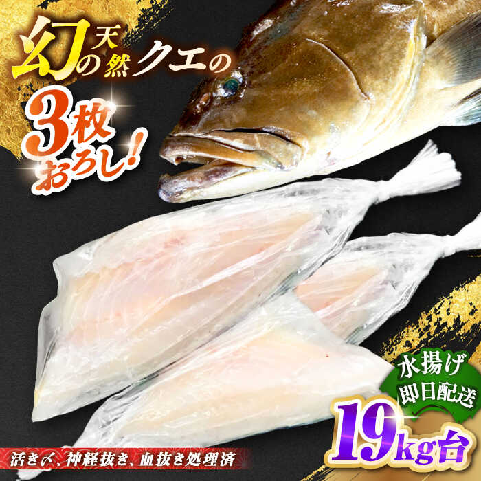 #/海産物/クエ/釣れたての鮮度を、 そのままお届け 魚は鮮度が命。適切な処理、及び冷蔵発送こそが美味しさの秘訣だと私たちは考えます。 私たちのこだわり 一本釣りで活き〆、神経抜き、血抜き処理された鮮度抜群の天然クエを水揚げ即日発送！ お刺身や鍋にも 即日発送！！！ 注意事項 ※必ずお読みください ご不在などで受取りが出来ず、商品が返送になった場合の再送は出来かねますので、予めご了承ください。 商品説明 名称天然クエ（19キロ台・3枚おろし） 内容量◆玄界灘壱岐島産の天然クエ 丸ものを3枚おろし ※頭、カマ、骨も丸1匹分（頭、骨は煮物用にカット処理） 配送方法冷蔵 配送期日9/1〜2月末配達 ※必ず希望日を備考欄にご記入ください。 お届け先によっては、配達希望日時の2日前に発送する場合がございます。 あらかじめご了承ください。 消費期限発送日より冷蔵にて5日 提供事業者壱岐島 玄海屋 0920-44-5310 ※お読みください 離島のため、天候や船の運行状況により、お届け日が前後する場合がございます。※年末年始の物流量増加に伴い、日付指定通りのお届けが叶わない恐れがございます。 ご了承の上、お申込みいただきますようお願い申し上げます。 #/海産物/鮮魚/クエ/ 天然クエ（1キロ台・3枚おろし） 《壱岐市》【壱岐島　玄海屋】[JBS039] クエ/魚/刺身/しゃぶしゃぶ 天然クエ（16キロ台・3枚おろし） 《壱岐市》【壱岐島　玄海屋】[JBS090] 天然クエ（17キロ台・3枚おろし） 《壱岐市》【壱岐島　玄海屋】[JBS091] 天然クエ（18キロ台・3枚おろし） 《壱岐市》【壱岐島　玄海屋】[JBS092] ※年末の申込について※ 12月は注文が集中するため、記載の配送期日通りのお届けができない場合がございます。 予めご了承ください。