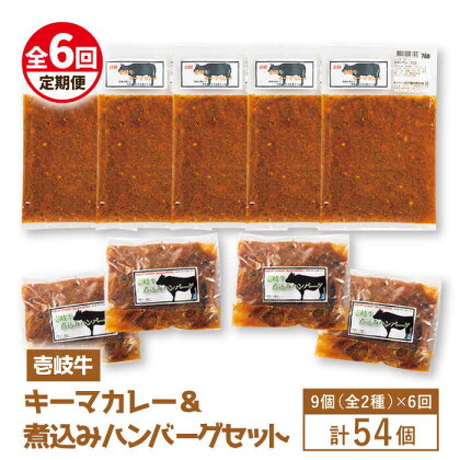 【全6回定期便】壱岐牛煮込みハンバーグ・キーマカレーセット[JBW021] 210000 210000円 21万円 冷凍配送