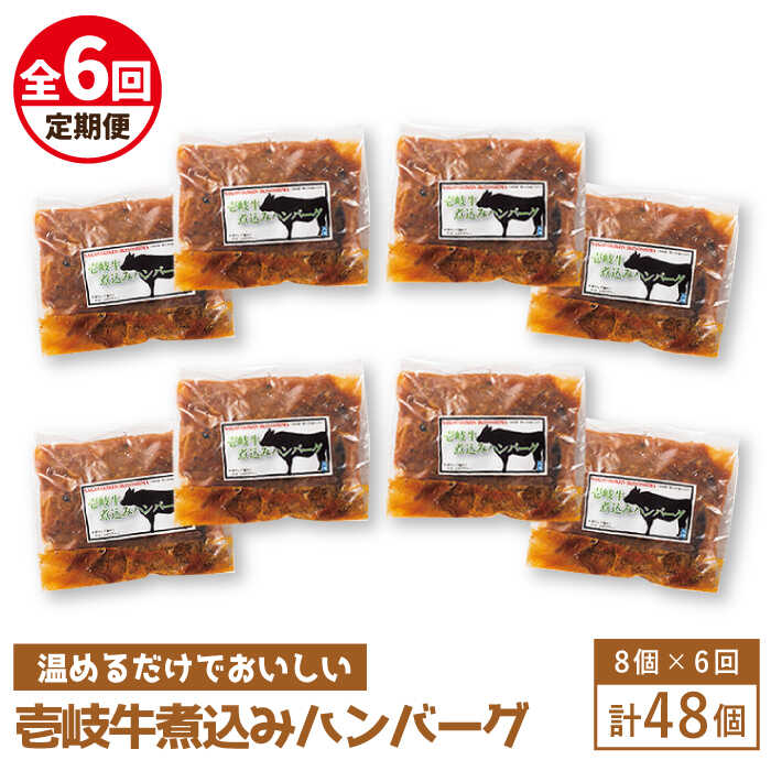 【ふるさと納税】【全6回定期便】壱岐牛煮込みハンバーグ[JBW024] 210000 210000円 21万円 冷凍配送