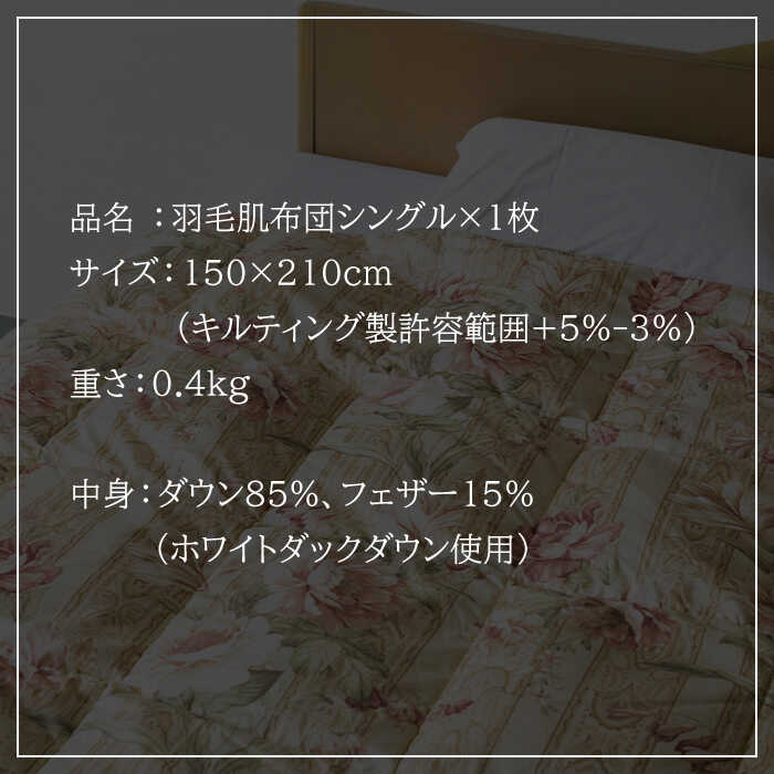 長崎県壱岐市の画像3