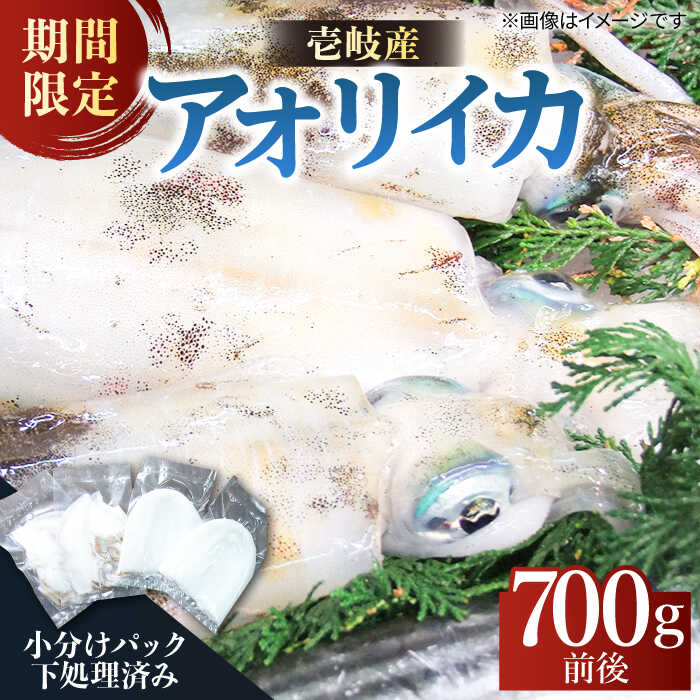 【ふるさと納税】アオリイカ 処理済み 700g前後 《壱岐市》【ヤマグチ】[JCG018] いか イカ アオリイカ 水イカ 刺身 お刺身 刺し身 ゲソ 魚介 海産物 海鮮 天然 冷凍 いかめし 13000 13000円 …