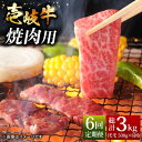 14位! 口コミ数「3件」評価「4.67」【全6回定期便】壱岐牛焼き肉セット 500g [JCG055] 冷凍配送 黒毛和牛 A5ランク 黒毛和牛 和牛 壱岐牛 モモ 焼き肉 焼肉 ･･･ 