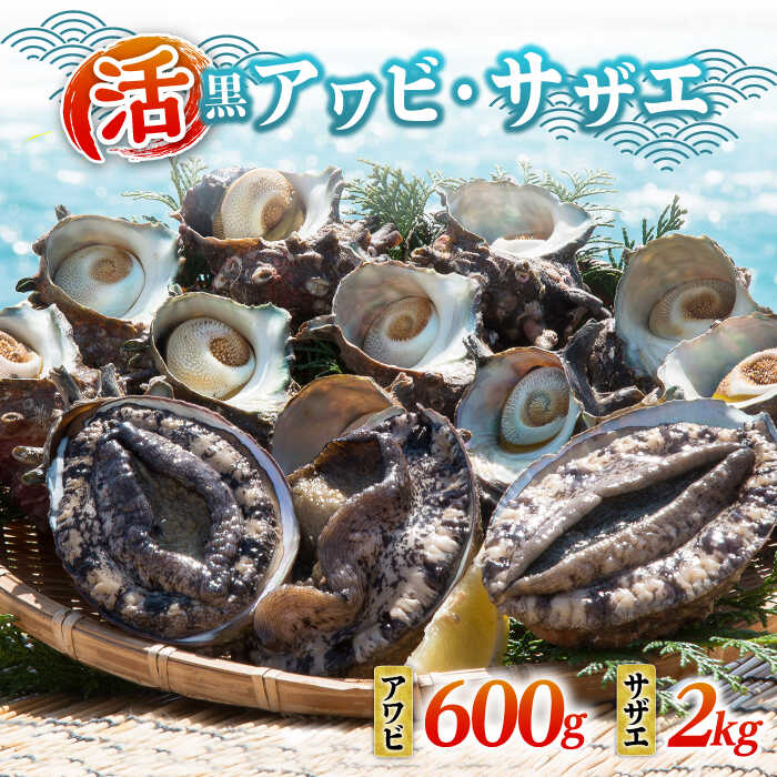 #/海産物/アワビ/肉厚で濃厚な磯の香り漂う新鮮な高級アワビと こりこりとした食感がたまらない活きの良いサザエをセットでお届けします！ ■サザエ ＼コリコリ食感がたまらない／ 新鮮なサザエを産地直送でお届け！ 磯の香りと、コリコリとした食感が魅力の壱岐の「活サザエ」。 新鮮なので刺身でも◎ 身が締まった新鮮なサザエを壱岐島からお届けします！ 大人の味わいの肝はお酒との相性抜群！ キンキンに冷えた生ビールや、壱岐島自慢の麦焼酎と… 刺身でも、煮ても、焼いても美味しい「活サザエ」を、たっぷり2kgお届けいたします♪ ■アワビ 肉厚！濃厚！ 貝の王様『黒アワビ』 漁獲量が少なく、希少性が高いことで有名の天然「黒アワビ」。 他のアワビに比べ、身が引き締まっており、弾力のある贅沢な食感を楽しむことができます。 旨みが非常に強く、噛むたびに豊かな磯の香りが口の中に広がります。 ねっとりとして甘みのある肝も魅力の一つ！ 刺身で食べるとコリコリとした、しっかりとした歯ごたえを堪能できます。 火を通すことで柔らかく、濃厚な味わいに。 酒蒸し、炭火焼、バターステーキ、煮つけなど、アレンジしても絶品です♪ ※お読みください 消費期限が短い生鮮品のため、必ずお受け取りをお願いいたします。 お受け取りできなかった場合の再送・キャンセル等は行なっておりません。あらかじめご了承の上お申し込み下さい。 その他オススメ商品 活サザエ 約2kg 活アワビ1kg（黒アワビ） 商品説明 名称（活）黒アワビ・サザエセット 内容量（活）黒アワビ：約600g （活）サザエ：約2kg ※殻付きの重さです。 消費期限 お届けから冷蔵で3日間 配送方法冷蔵 配送期日お申し込み日の2週間以降、3ヶ月以内で必ず日付指定をお願いいたします。 提供事業者丸和水産株式会社 ※お読みください 離島のため、天候や船の運行状況により、お届け日が前後する場合がございます。※年末年始の物流量増加に伴い、日付指定通りのお届けが叶わない恐れがございます。 ご了承の上、お申込みいただきますようお願い申し上げます。 ※年末の申込について※ 12月は注文が集中するため、記載の配送期日通りのお届けができない場合がございます。 予めご了承ください。