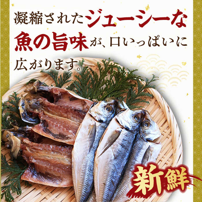 【ふるさと納税】壱岐島 干物・海産物セット（いかうに付）【皐月】 《壱岐市》【汐彩屋】[JCT002] 13000 13000円 干物 ひもの 朝食 みりん干し アジ 鯵 アジの開き 開き 丸干し うに いかうに イカ 冷凍配送 2