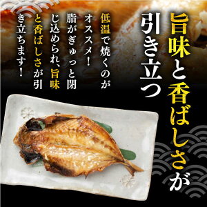 【ふるさと納税】旬の海産物 干物詰め合わせ Bセット 《壱岐市》【マルミ海産物】[JCY001] 干物 ひもの みりん干し みりん 開き 魚 冷凍 アジ 鯵 あじ タイ カマス アジの開き 朝食 鮮魚 13000 13000円 冷凍配送