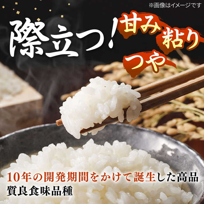 【ふるさと納税】【R7年度産】壱岐産米 つや姫 5kg 《壱岐市》 【長米壱岐営業所】[JCZ022] 米 お米 白米 精米 1等米 5キロ ごはん ご飯 特別栽培米 20000 20000円 2