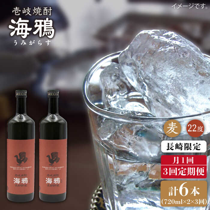 [全3回定期便]海鴉25度720ml 2本入りセット [JDB110] お酒 むぎ焼酎 壱岐焼酎 本格焼酎 熟成 飲み比べ 48000 48000円