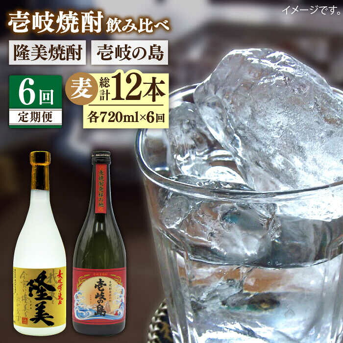【ふるさと納税】【全6回定期便】隆美焼酎と壱岐の島 25度 720ml 2本入りセット 《壱岐市》【天下御免】[JDB229]