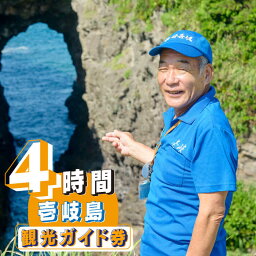 【ふるさと納税】壱岐島内観光ガイド券（4時間） 《壱岐市》【島旅地元ガイド　中山忠治】[JDE003] 27000 27000円