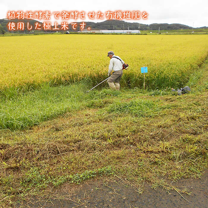 【ふるさと納税】【全6回定期便】なつほのか 酵...の紹介画像2