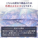 【ふるさと納税】【発送月を選べる】【訳あり】【シングル】羽毛布団 本掛け シルバープリンセスダックダウン90%（色・柄おまかせ）《壱岐市》【富士新幸九州】[JDH063] 羽毛 布団 ふとん 掛け布団 ダウン 寝具 訳アリ ワケあり シングル 65000 65000円 6万5千円 2