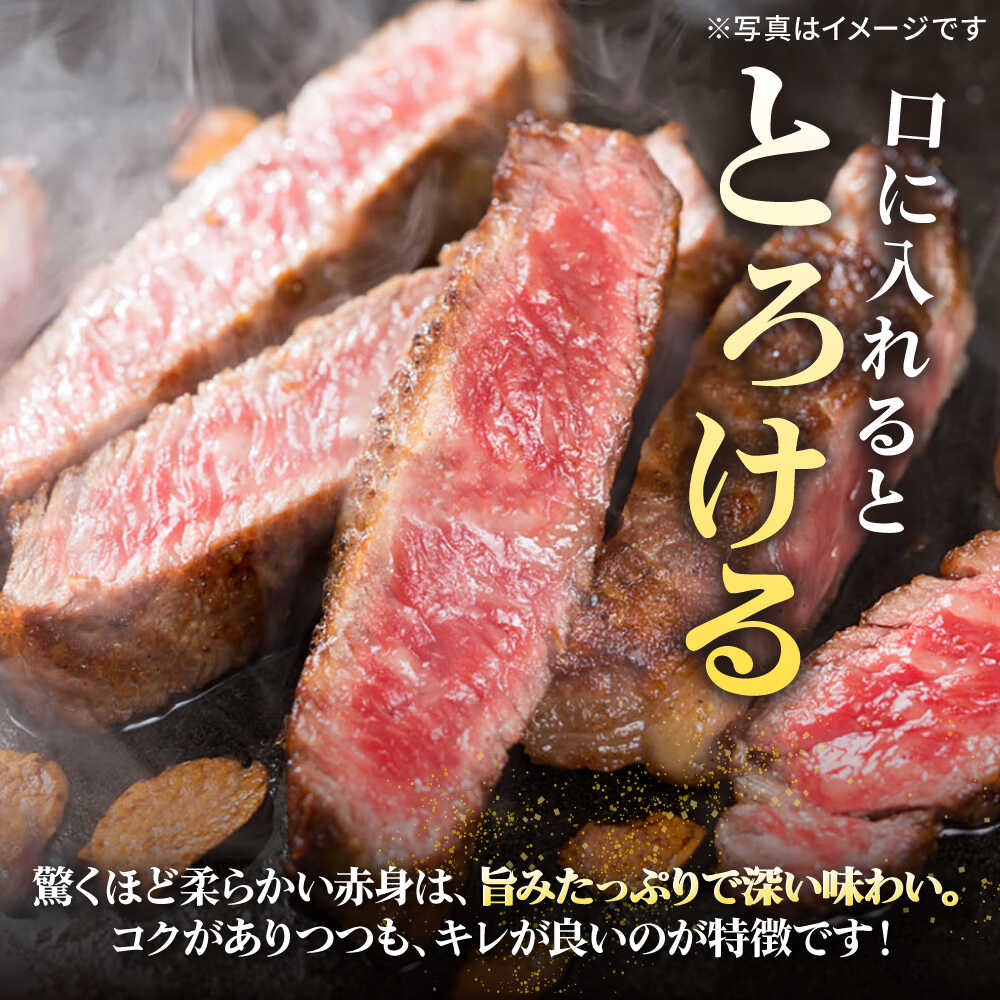 【ふるさと納税】【全2回定期便】 特選 壱岐牛 サーロインステーキ 約200g×3枚《壱岐市》【太陽商事】 お肉 牛肉 和牛 黒毛和牛 肉 ブランド牛 高級 霜降り ステーキ サーロイン お祝い[JDL109] f422100-iki-10003855 長崎県壱岐市 サンプル画像2