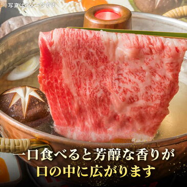 【ふるさと納税】黒毛和牛 壱岐牛 肩ロース 500g すき焼き しゃぶしゃぶ 《壱岐市》【太陽商事】 [JDL008]