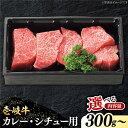 【ふるさと納税】 特選 壱岐牛 すね肉 300g / 500