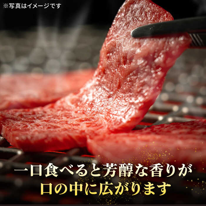 【ふるさと納税】【全6回定期便】 特選 壱岐牛 ロース 750g（焼肉用）《壱岐市》【太陽商事】[JDL077] 冷凍配送 黒毛和牛 A5ランク お肉 牛肉 和牛 黒毛和牛 肉 高級 霜降り 焼肉 ロース肉 BBQ ローストビーフ 焼肉用 300000 300000円 30万円