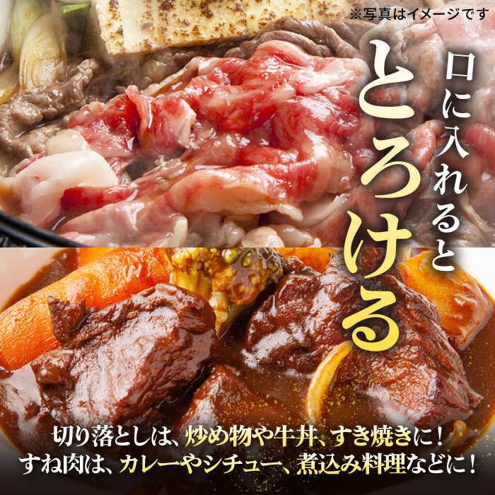 【ふるさと納税】特選 壱岐牛 切り落とし＆すね肉　総計 750g / 1.4kg【選べる内容量・お届け回数】《壱岐市》【太陽商事】 [JDL098] 肉 牛肉 切り落とし 切落し 薄切り すき焼き しゃぶしゃぶ 鍋 カレー シチュー 煮込み 冷凍配送 定期便