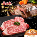 壱岐牛 サーロインステーキ 240g×2枚 《壱岐市》 冷凍配送 黒毛和牛 A5ランク 肉 牛肉 サーロイン ステーキ サーロインステーキ 赤身 焼肉 焼き肉 33000 33000円 のし プレゼント ギフト 焼肉用