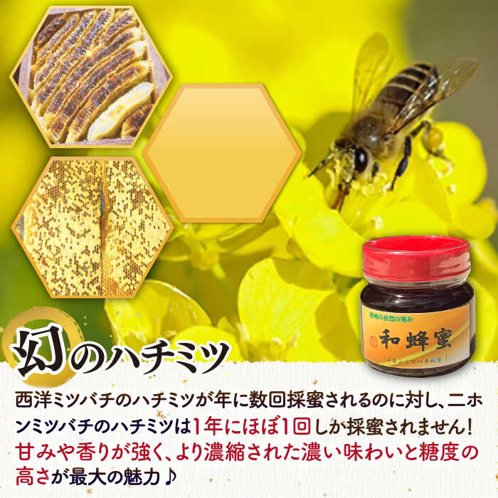 【ふるさと納税】和蜂蜜（ニホンミツバチはちみつ） 300g [JDP004] ハチミツ 蜂蜜 はちみつ ジャム 日本ミツバチ 二ホンミツバチ 19000 19000円 のし プレゼント ギフト