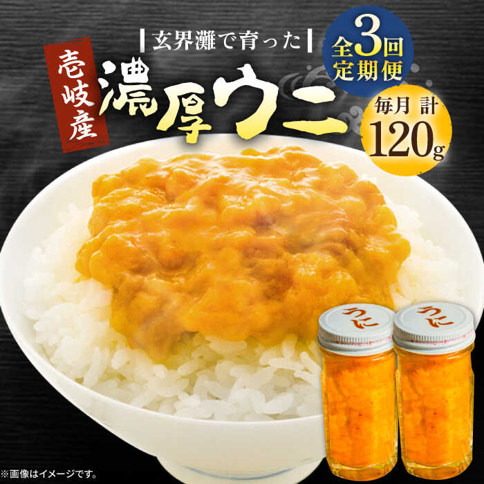 【ふるさと納税】【全3回定期便】壱岐産 濃厚 ウニ 60g ×2本《壱岐市》【合同会社塚元】ムラサキウニ 海産物 海鮮 うに 雲丹 珍味[JDR034]