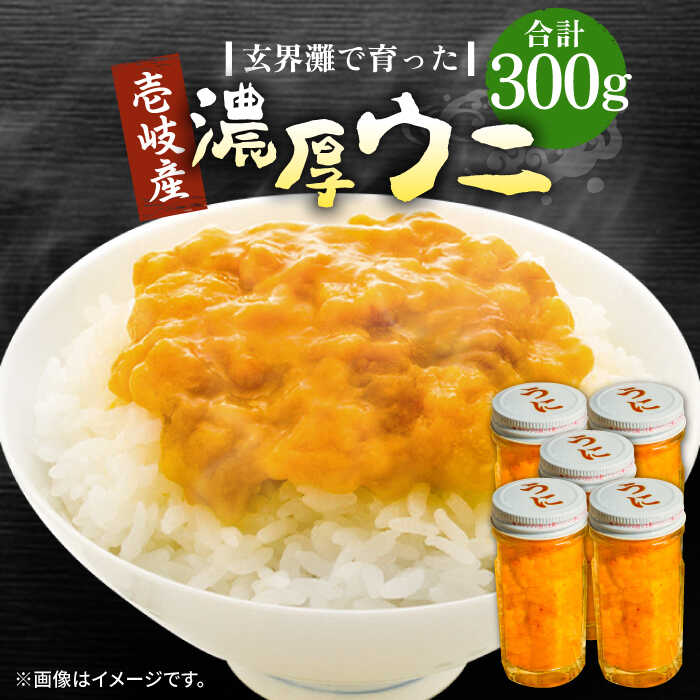 楽天長崎県壱岐市【ふるさと納税】壱岐産 濃厚 ウニ 60g ×5本《壱岐市》【合同会社塚元】ムラサキウニ 海産物 海鮮 うに 雲丹 珍味[JDR041]