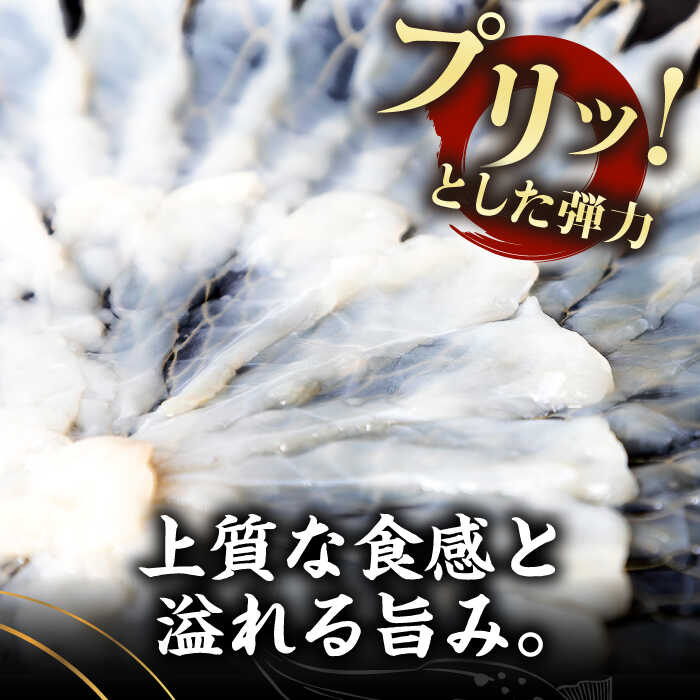 【ふるさと納税】【全3回定期便】とらふぐ 刺身 （2～3人前）《壱岐市》【なかはら】[JDT024] ふぐ フグ 河豚 とらふぐ トラフグ 刺身 刺し身 ふぐ刺し フグ刺し とらふぐ刺し トラフグ刺し てっさ ふぐ刺身 とらふぐ刺身 48000 48000円 冷凍配送