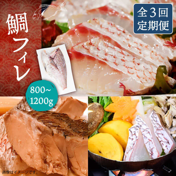 【全3回定期便】鯛フィレ 約800～1200g（1尾・2kg台）《壱岐市》【なかはら】 [JDT033] タイ 鯛 フィレ 柵 刺身 刺身ブロック 刺し身 切身 冷凍 海鮮 海鮮丼 定期便 84000 84000円 冷凍配送