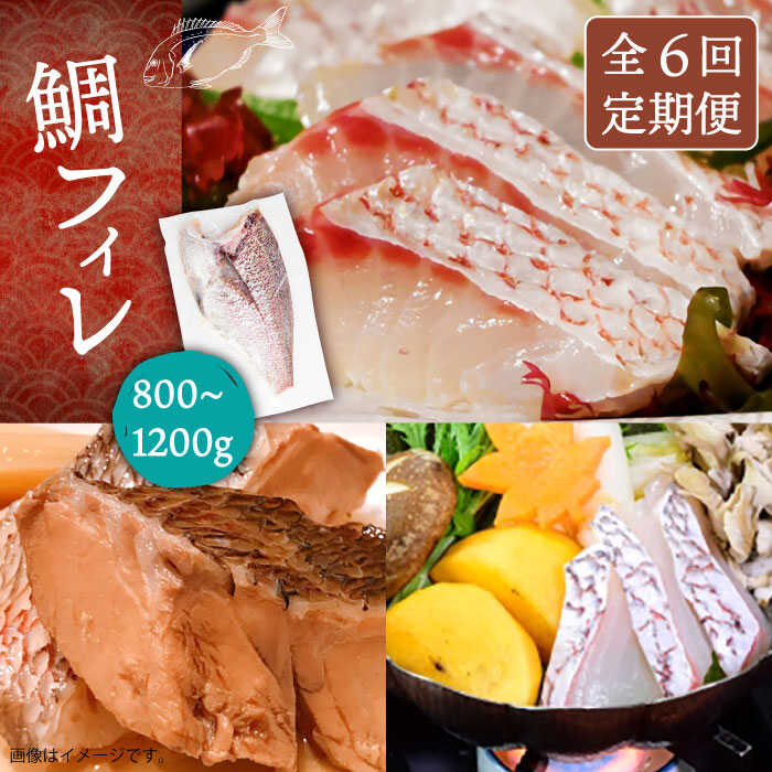 【全6回定期便】鯛フィレ 約800～1200g（1尾・2kg台）《壱岐市》【なかはら】 [JDT034] タイ 鯛 フィレ 柵 刺身 刺身ブロック 刺し身 切身 冷凍 海鮮 海鮮丼 定期便 168000 168000円 冷凍配送