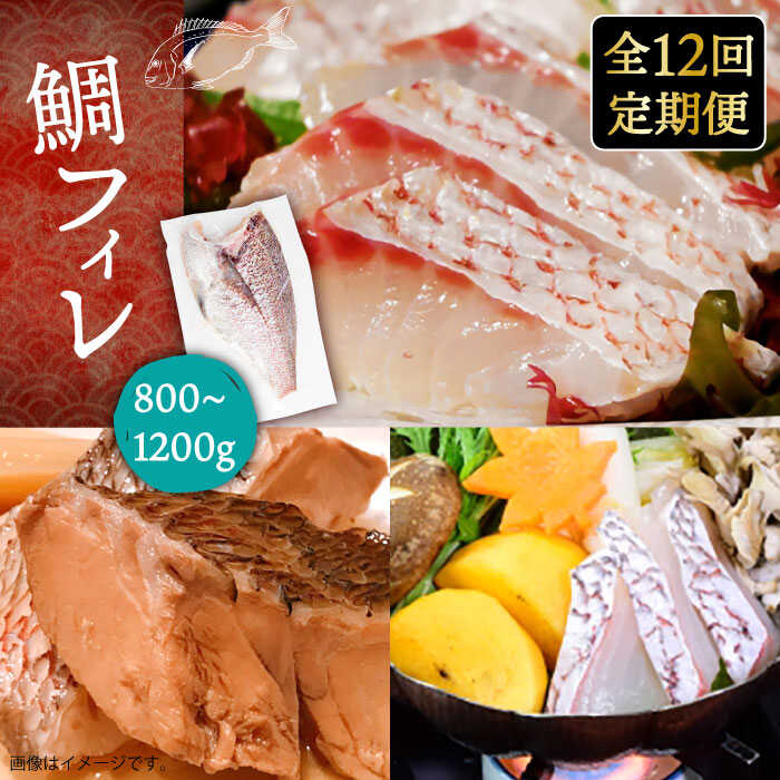 【全12回定期便】鯛フィレ 約800～1200g（1尾・2kg台）《壱岐市》【なかはら】 [JDT035] タイ 鯛 フィレ 柵 刺身 刺身ブロック 刺し身 切身 冷凍 海鮮 海鮮丼 定期便 336000 336000円 冷凍配送