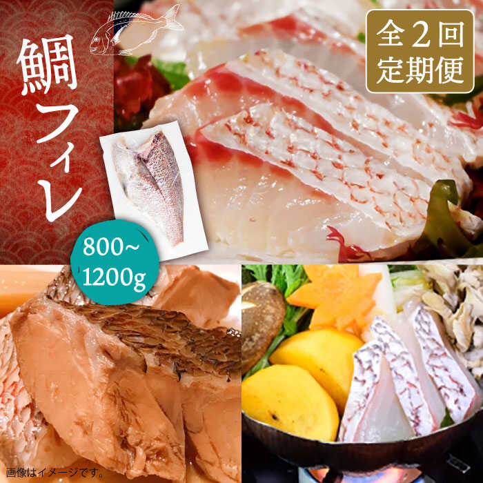 【全2回定期便】鯛フィレ 約800～1200g（1尾・2kg台）《壱岐市》【なかはら】 [JDT068] タイ 鯛 フィレ 柵 刺身 刺身ブロック 刺し身 切身 冷凍 海鮮 海鮮丼 定期便 56000 56000円 冷凍配送