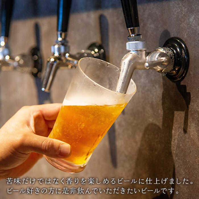 【ふるさと納税】クラフトビール 『 IPA 』...の紹介画像2