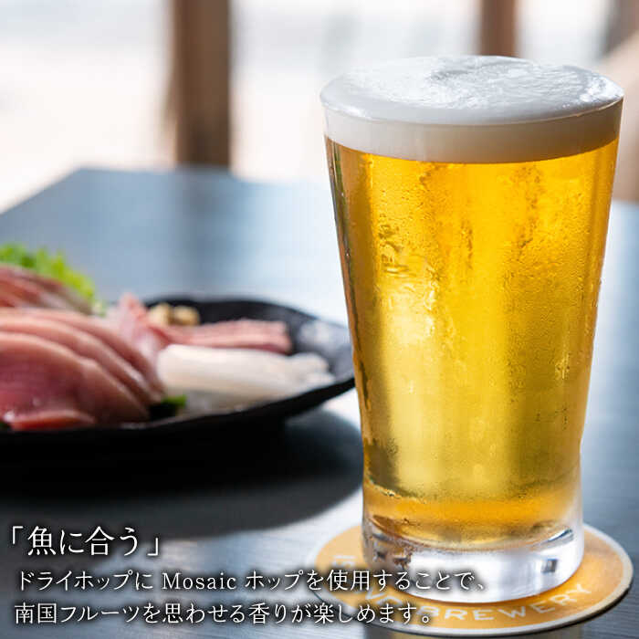 【ふるさと納税】クラフトビール 『 IPA 』...の紹介画像3