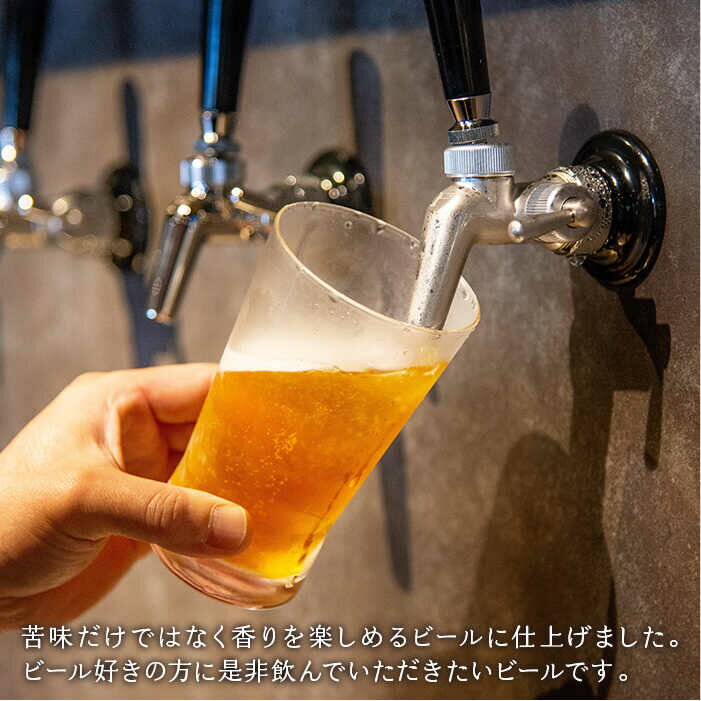 【ふるさと納税】【全3回定期便】クラフトビール IPA 6本【ISLAND BREWERY】 [JED012] ビール お酒 飲み比べ セット 瓶ビール 飲みくらべ 48000 48000円 冷蔵配送