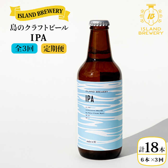 【ふるさと納税】【全3回定期便】クラフトビール IPA 6本【ISLAND BREWERY】 [JED012] ビール お酒 飲...