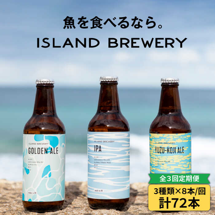 【ふるさと納税】【全3回 定期便 】クラフトビール 地ビール 24本詰め合わせ（3種類×8本）【ISLAND BREWERY】 《 壱岐市 》[JED030] 162000 162000円 冷蔵配送