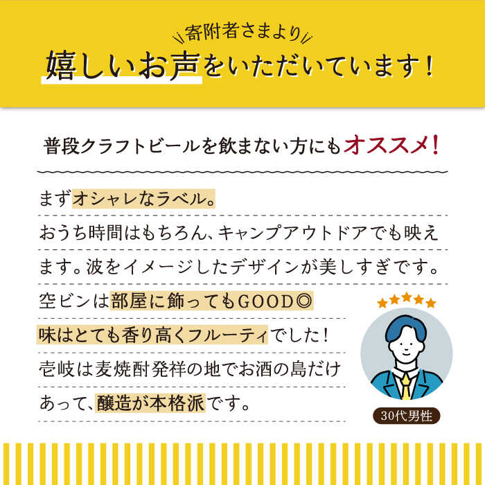 【ふるさと納税】【全12回 定期便 】クラフトビール 地ビール 24本詰め合わせ（3種類×8本）【ISLAND BREWERY】 《 壱岐市 》[JED032]