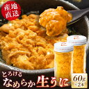 ムラサキウニ 【ふるさと納税】数量限定！壱岐の生うに 2本セット 60g×2本 《壱岐市》【大幸物産】 紫うに 生うに ウニ うに 生ウニ 雲丹 ムラサキウニ 紫うに 瓶 瓶詰め ギフト 贈答 [JEH001] 34000 34000円 のし プレゼント ギフト 冷凍配送