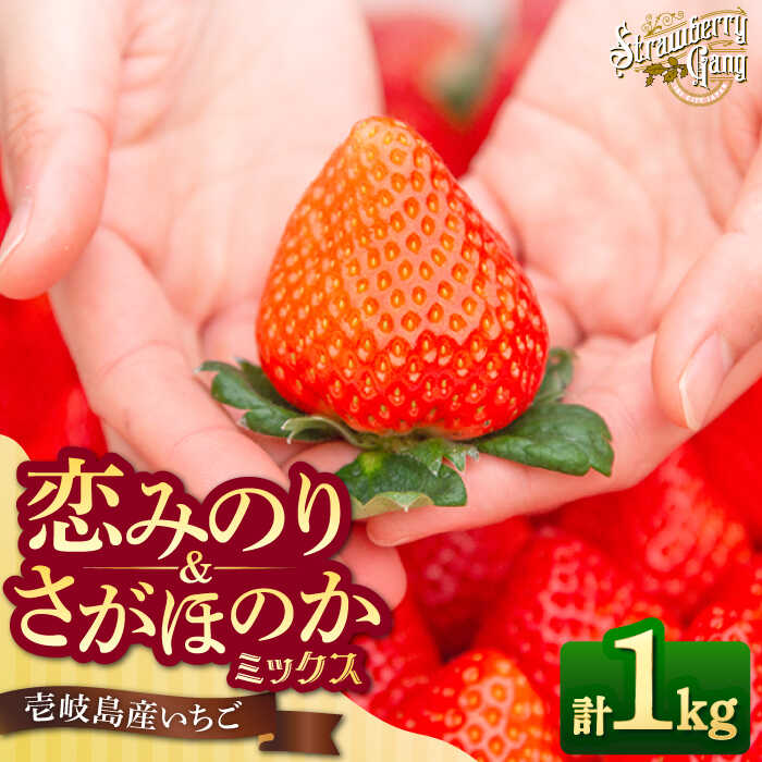 【ふるさと納税】【先行予約】恋みのり・さがほのか 約250g×4パック《壱岐市》【Strawberry Gang】 [JEM001] セット イチゴ 苺 定期便 食べ比べ 果物 フルーツ スムージー 13000 13000円 冷蔵配送