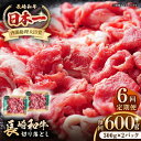 【ふるさと納税】【全6回定期便】長崎和牛 切り落とし 600g(300g×2パック)《壱岐市》【長崎フードサービス】 肉 牛肉 赤身 小分け 国産 切落し 切り...