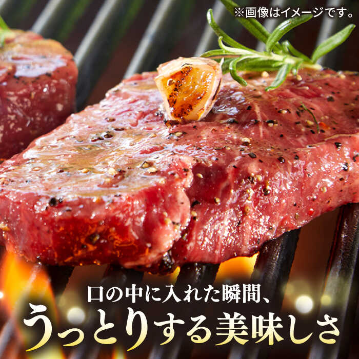 【ふるさと納税】【全6回定期便】極上 壱岐牛 A5ランク ステーキセット （ヒレ 200g × 2枚 サーロイン 350g × 2枚） 雌 《 壱岐市 》【 KRAZY MEAT 】 [JER025]