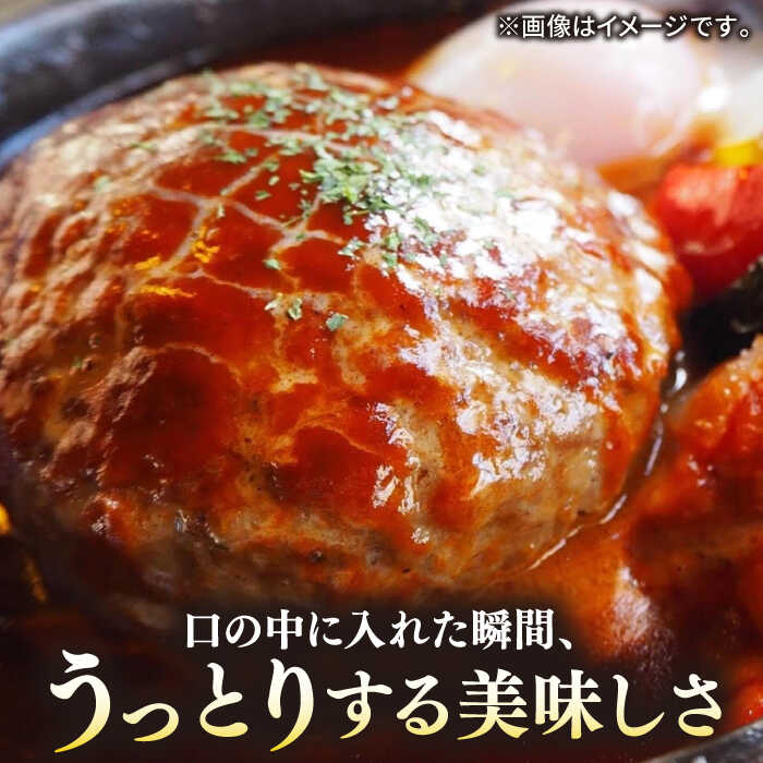 【ふるさと納税】壱岐牛 A5ランク 牛ミンチ 約500g×6《壱岐市》【KRAZY MEAT】[JER042] 冷凍配送 黒毛和牛 A5ランク 小分け ミンチ 挽き肉 ひき肉 牛肉 赤身 ハンバーグ 肉 個包装