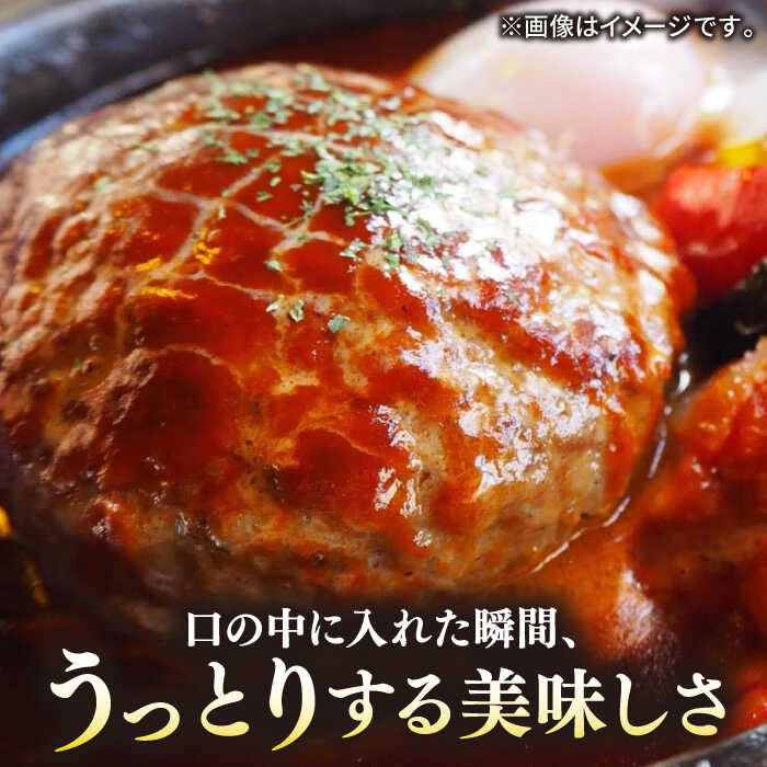 【ふるさと納税】【全12回定期便】壱岐牛 A5ランク 牛ミンチ 約500g×6 《壱岐市》【KRAZY MEAT】[JER048] 冷凍配送 黒毛和牛 A5ランク 小分け ミンチ 挽き肉 ひき肉 牛肉 赤身 ハンバーグ 肉 個包装 432000 432000円
